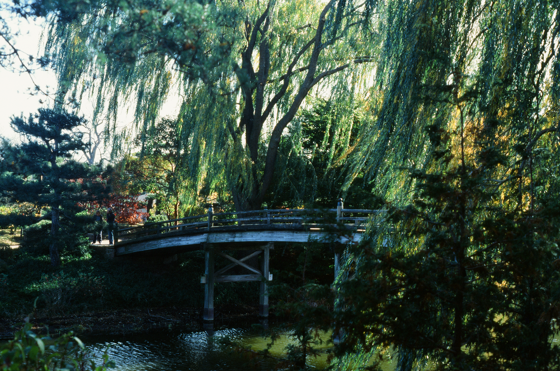 Tue, 03 Jun 2025 18:49:42 -0500