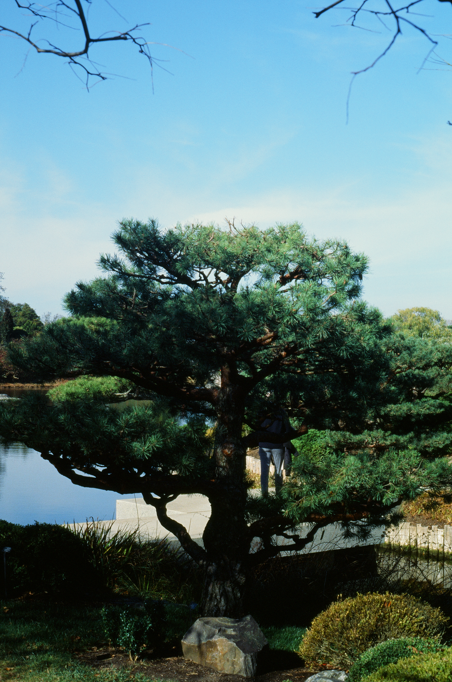 Tue, 03 Jun 2025 18:52:41 -0500