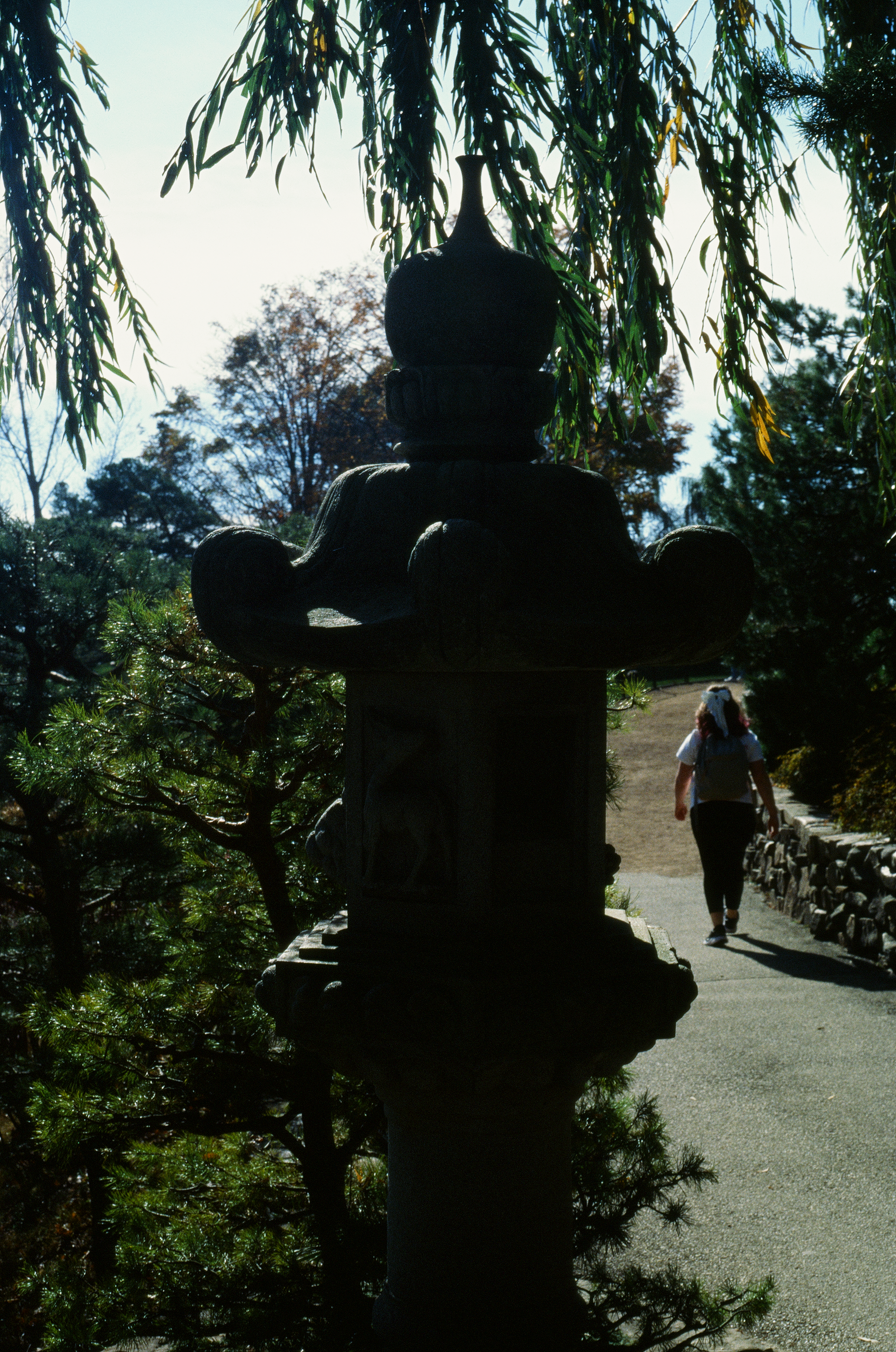 Tue, 03 Jun 2025 18:56:46 -0500