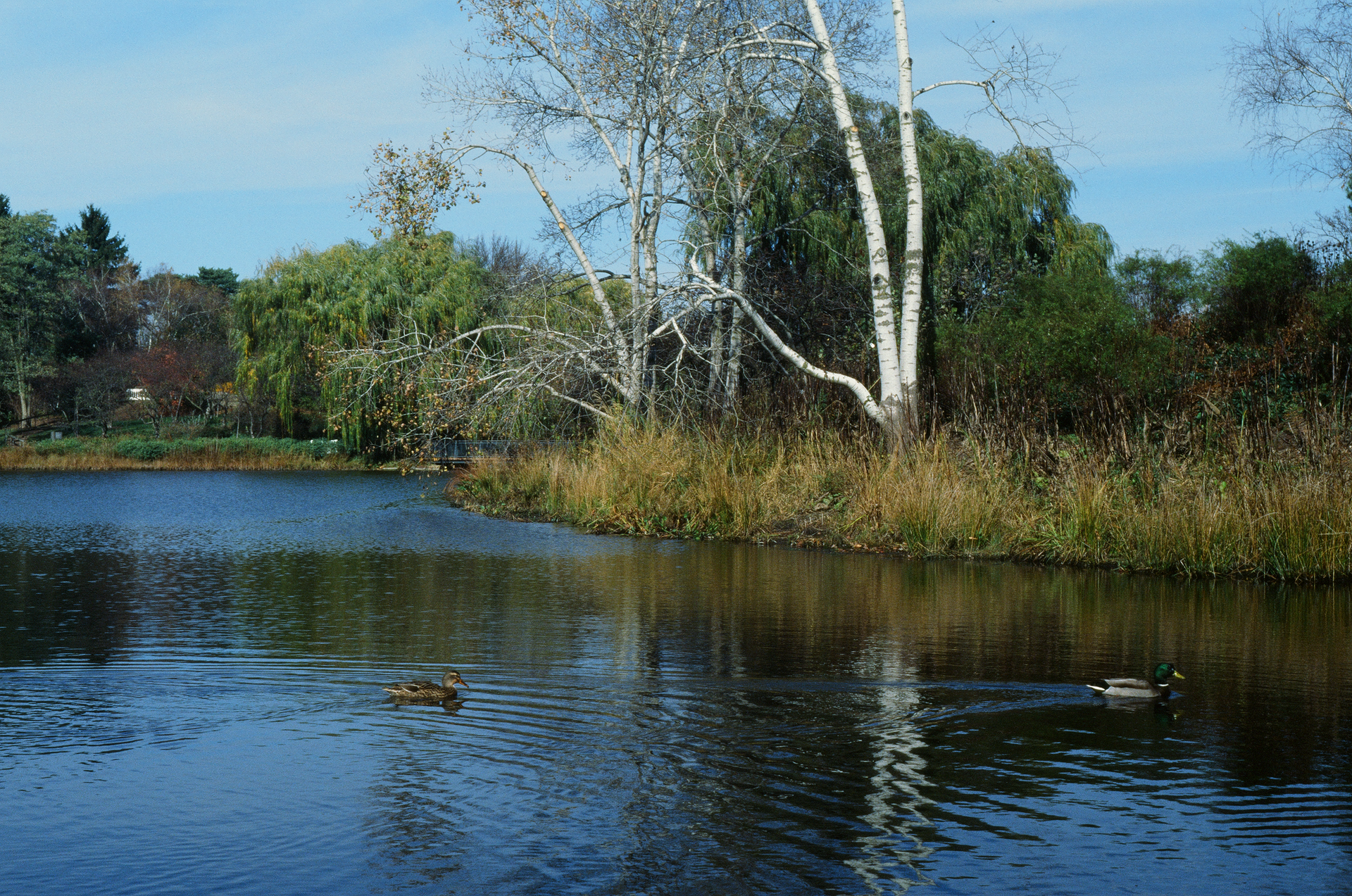 Tue, 03 Jun 2025 18:58:18 -0500