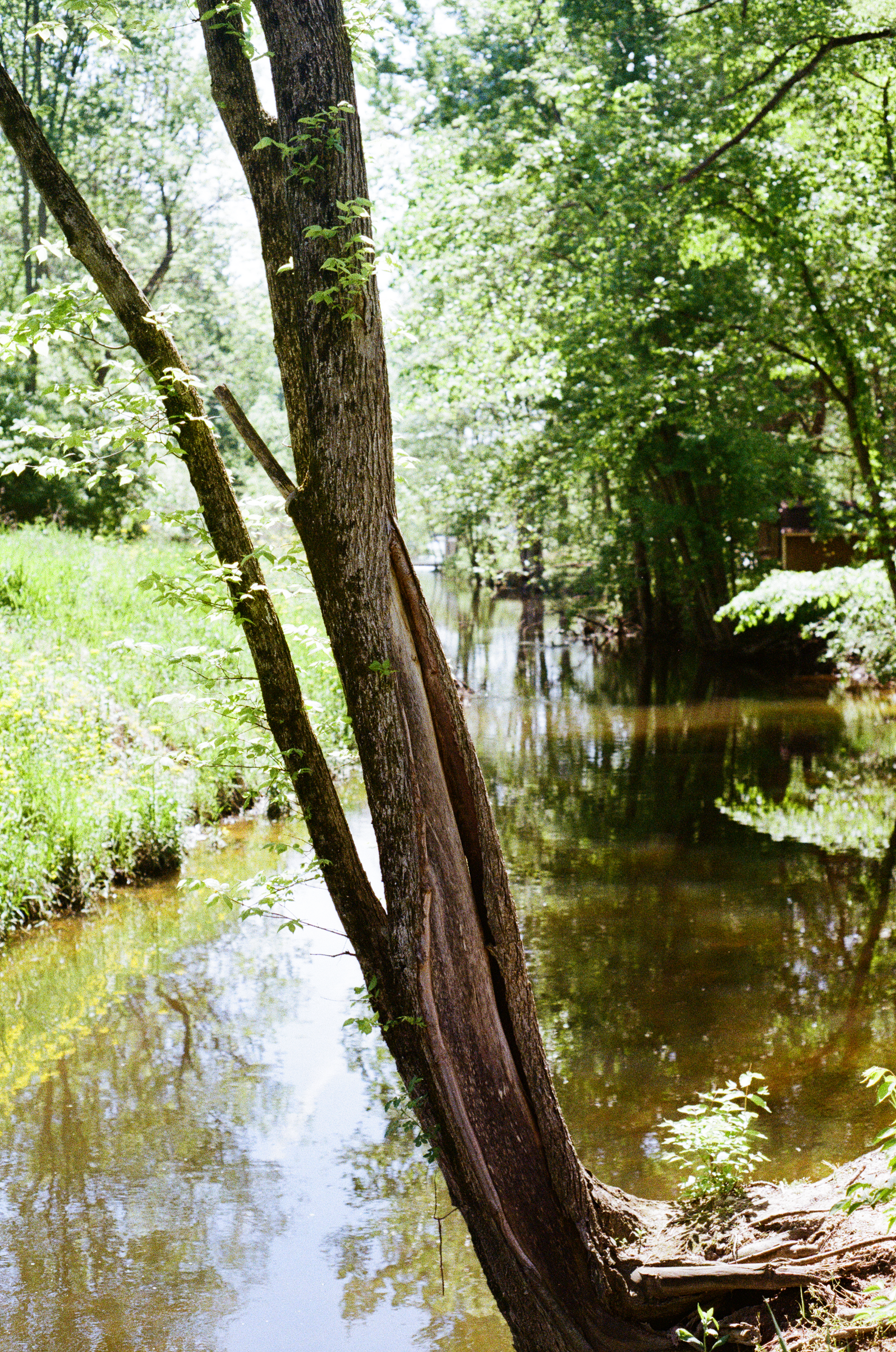 Thu, 04 Jul 2024 14:26:20 -0500