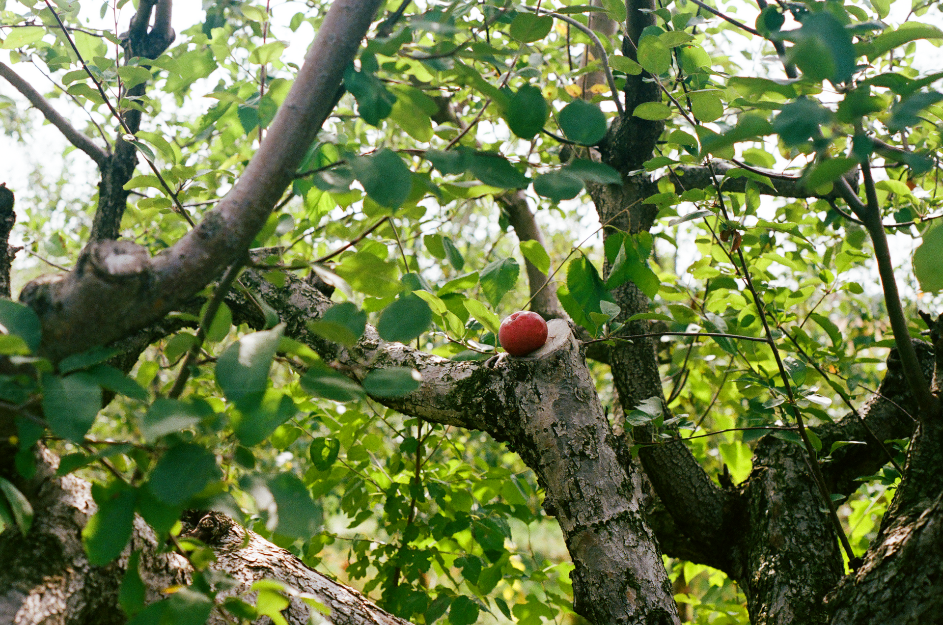 Tue, 03 Jun 2025 19:03:42 -0500