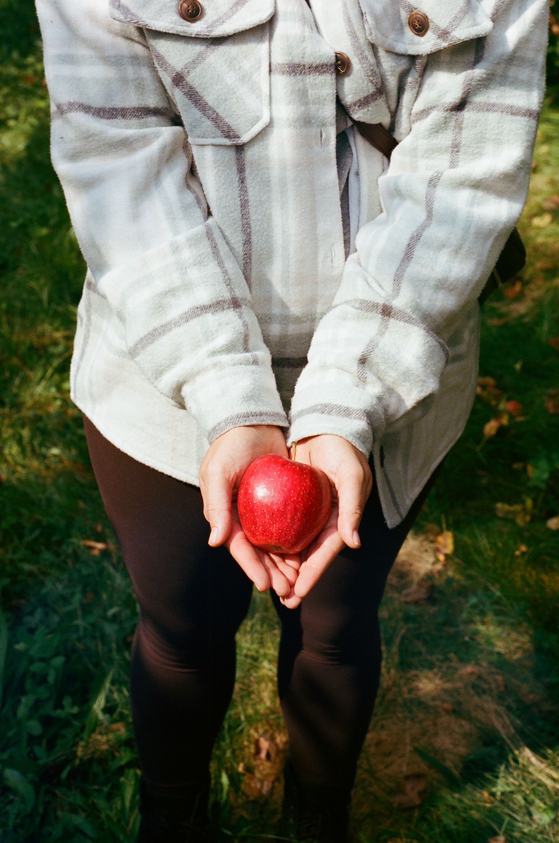 Tue, 03 Jun 2025 19:03:58 -0500