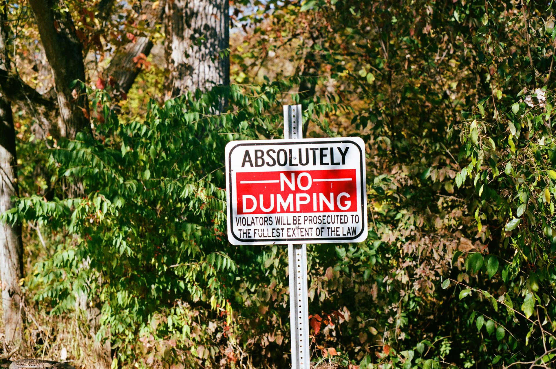 Tue, 03 Jun 2025 19:05:32 -0500