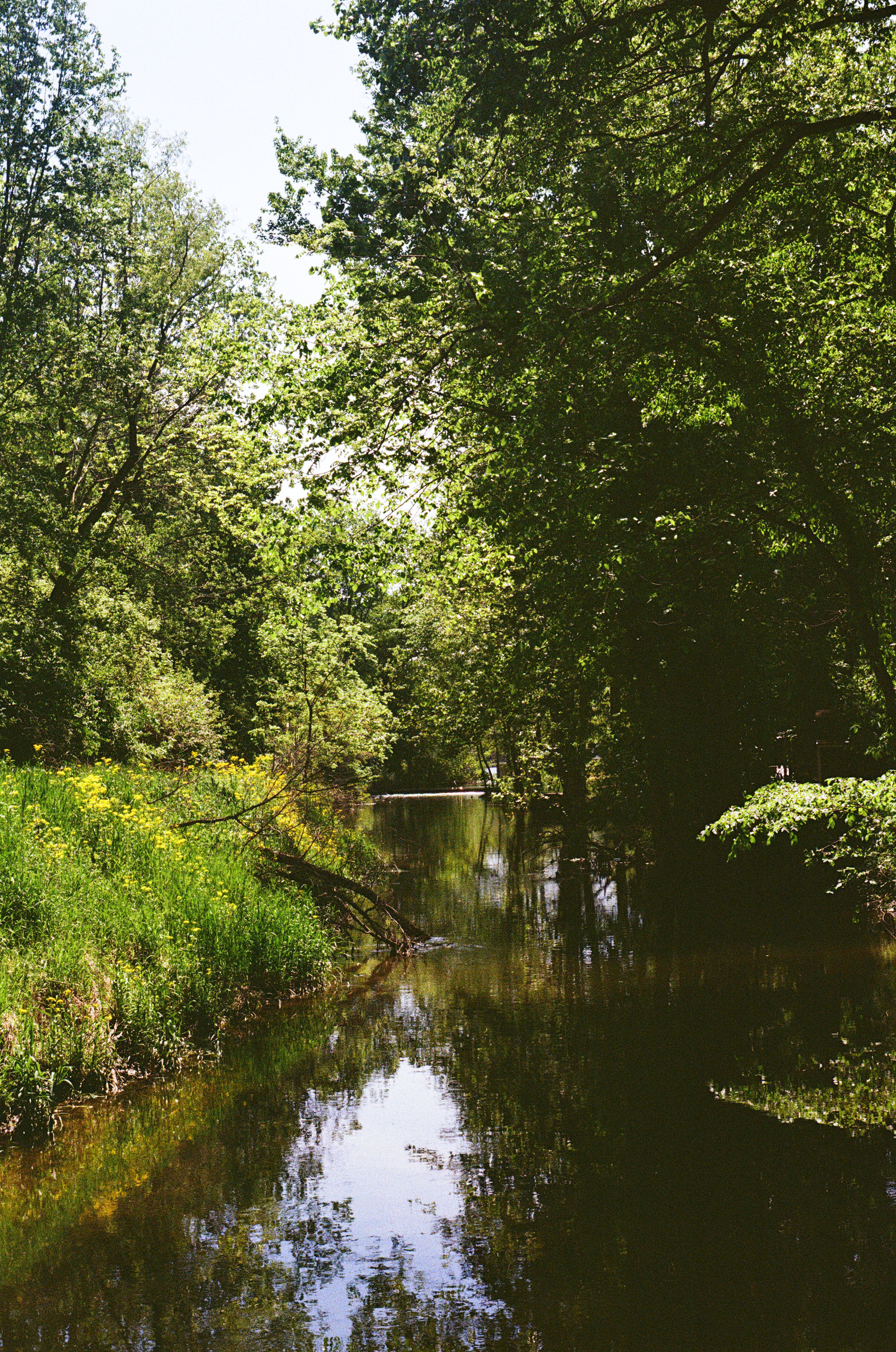 Thu, 04 Jul 2024 14:27:05 -0500