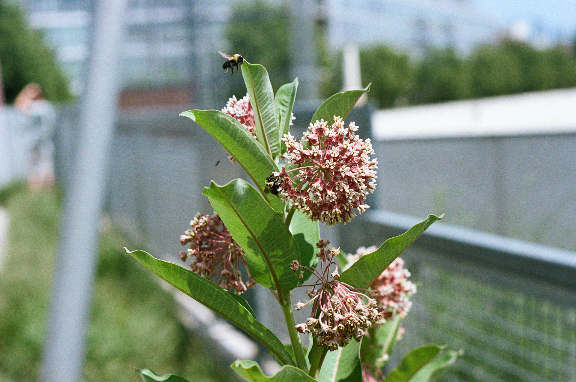 Wed, 02 Oct 2024 19:51:38 -0500