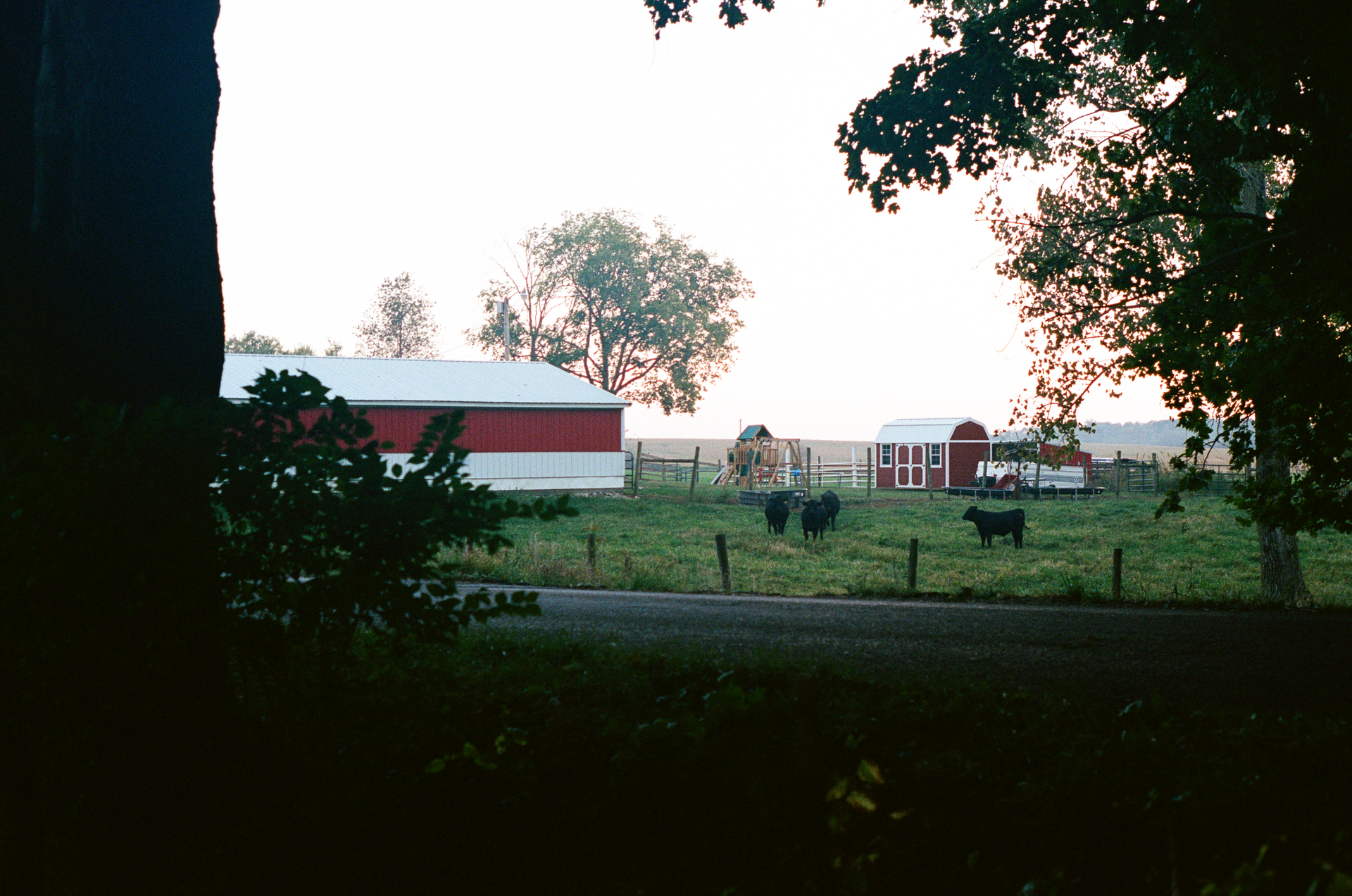 Mon, 13 Jan 2025 20:43:27 -0600