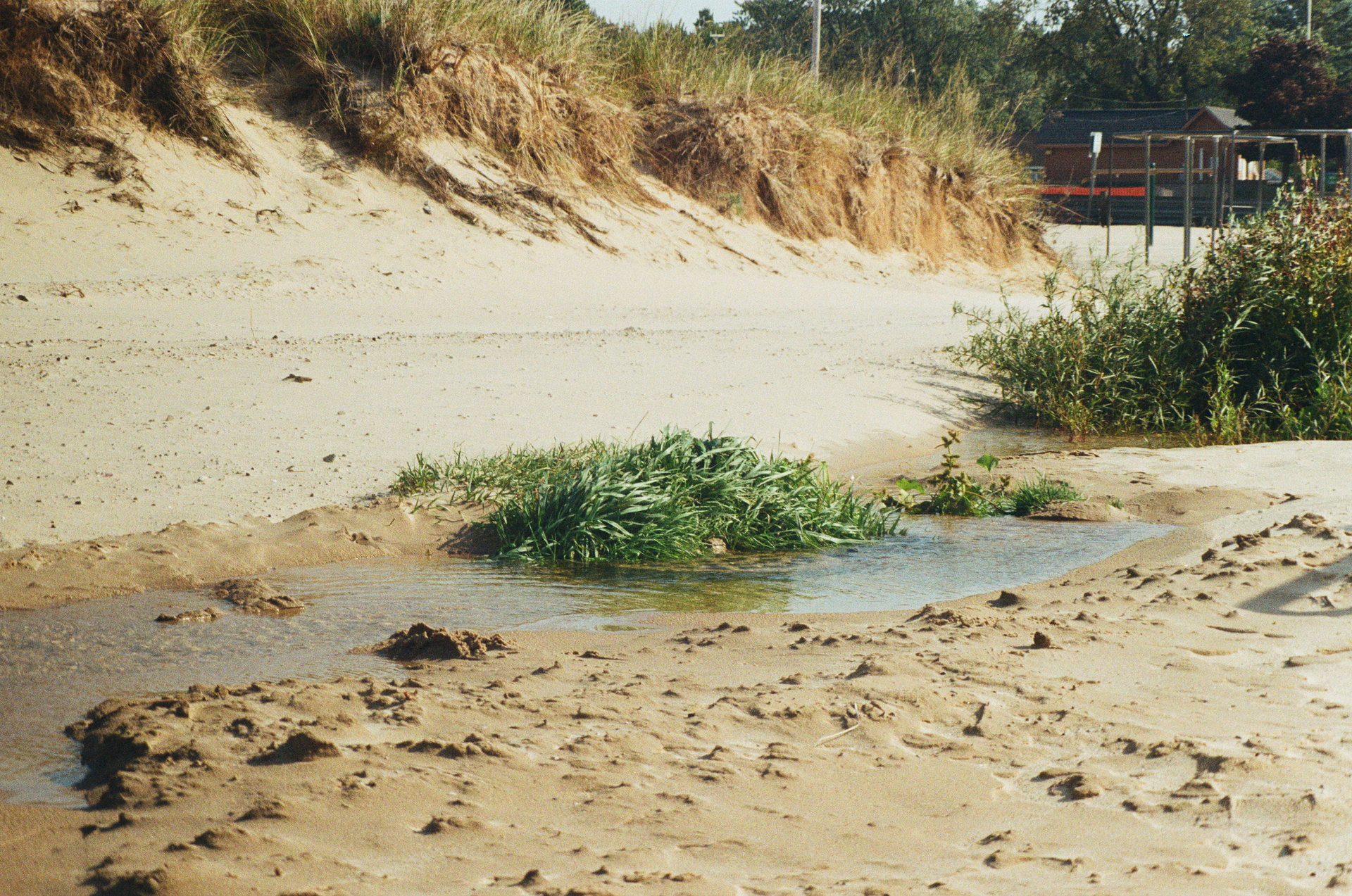 Mon, 13 Jan 2025 20:50:03 -0600