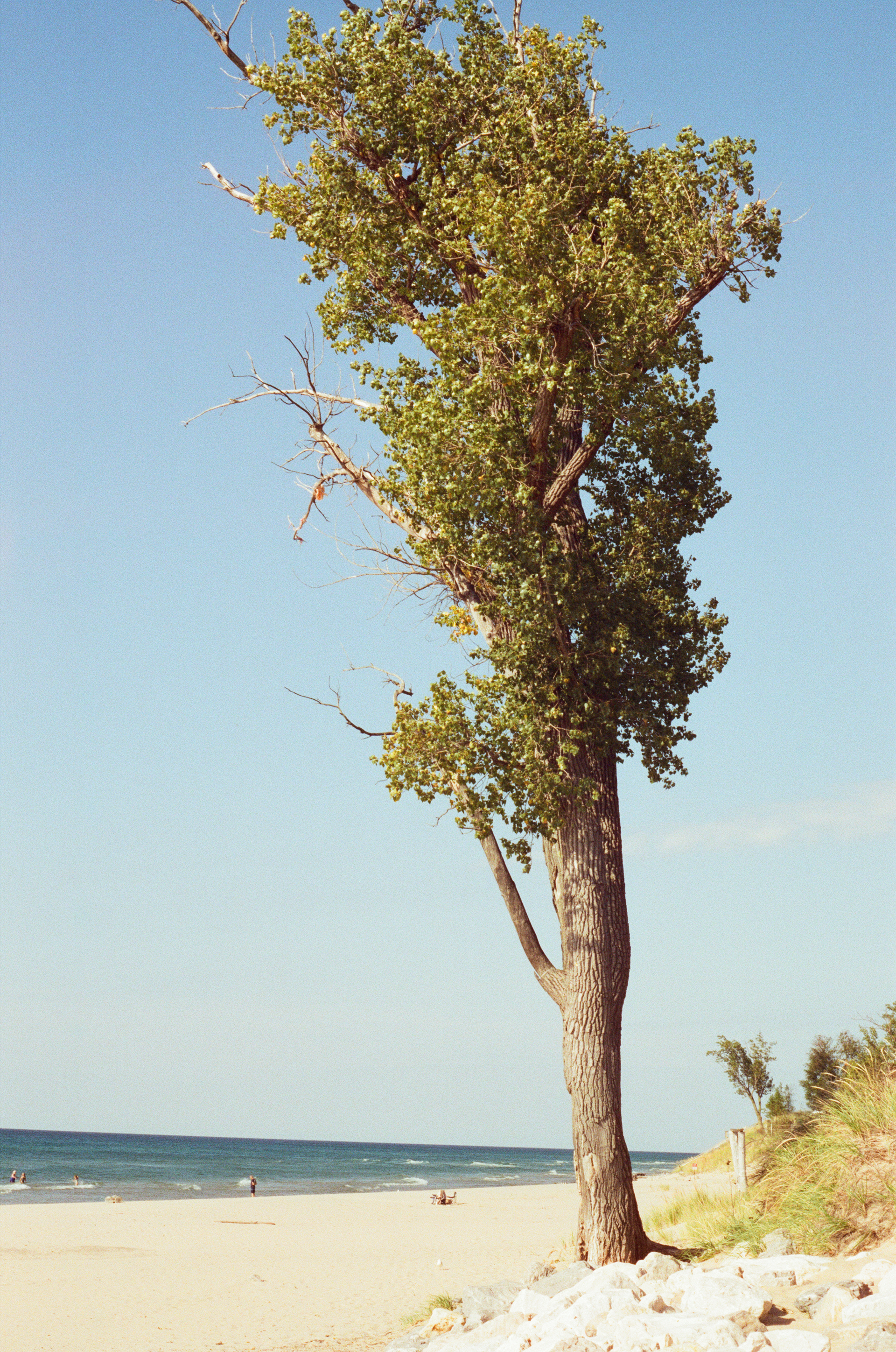 Mon, 13 Jan 2025 20:52:26 -0600