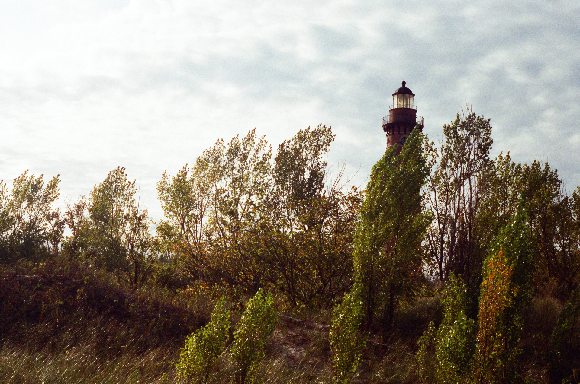 Mon, 13 Jan 2025 20:54:24 -0600