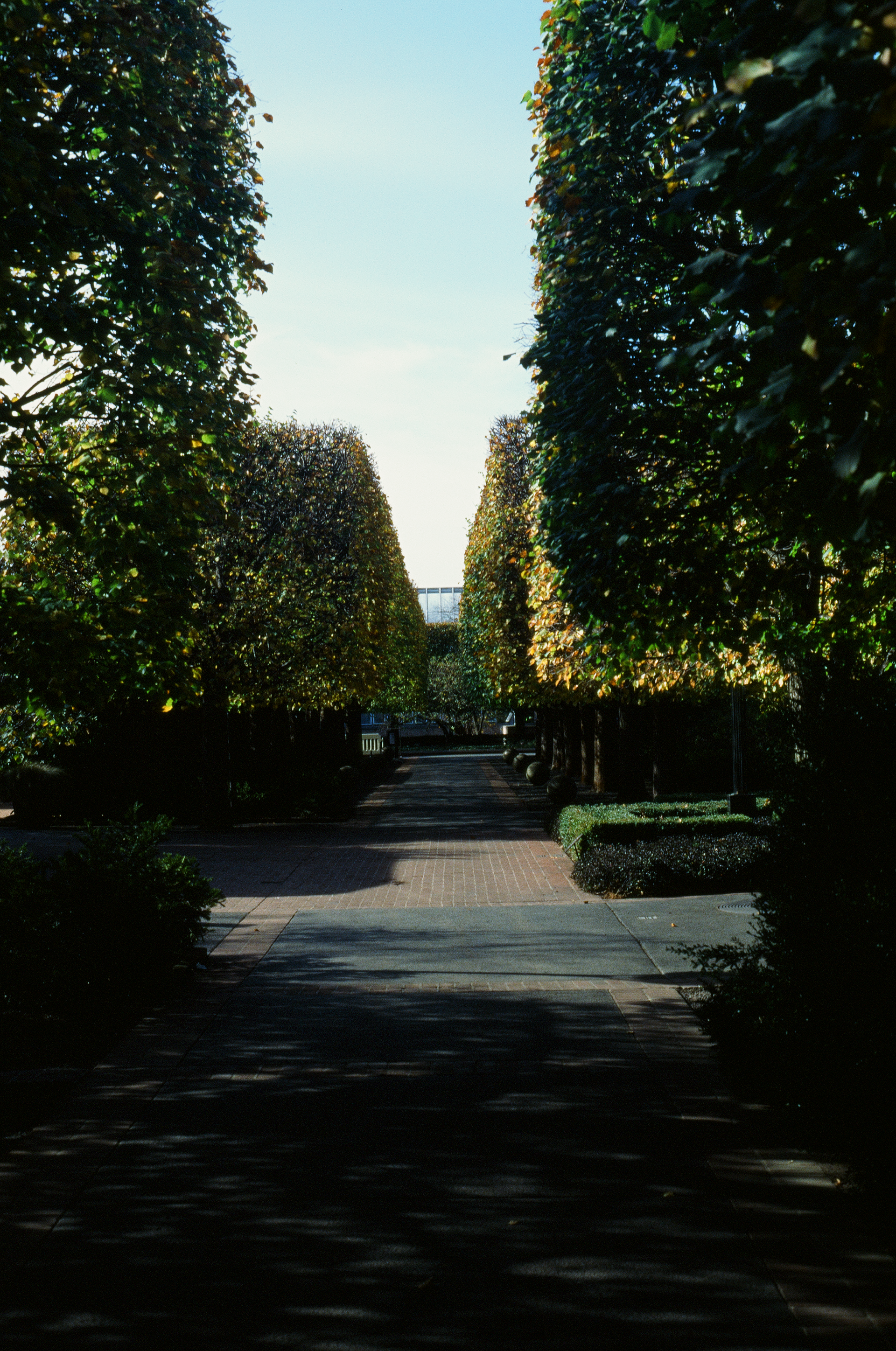 Tue, 03 Jun 2025 18:48:09 -0500